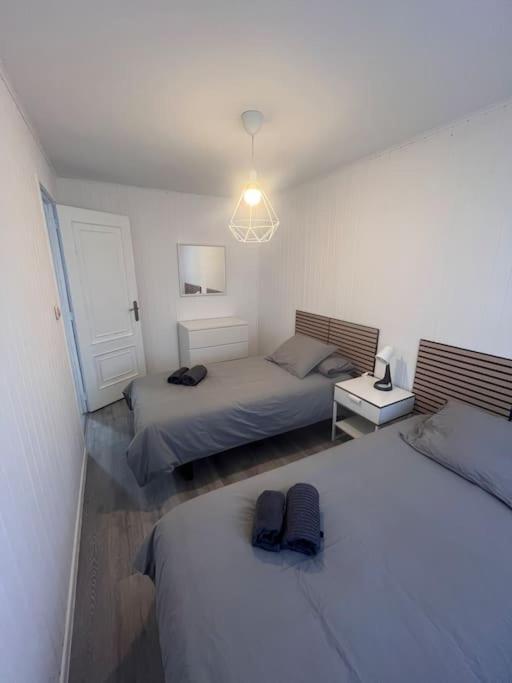 Apartament Casalelina *